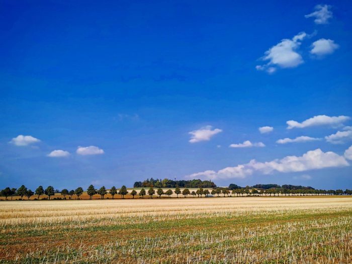 blauer Himmel über abgemähtem Feld