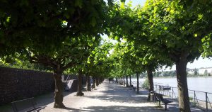Rheinpromenade Bonn-Beuel