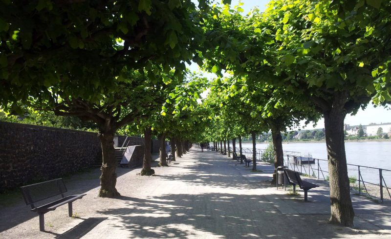 Rheinpromenade Bonn-Beuel