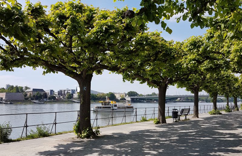 Rheinpromenade Bonn-Beuel mit Blick auf abfahrende Fähre