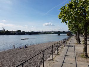 Beueler Rheinufer mit Kenedybrücke und Rhein im Hintergrund