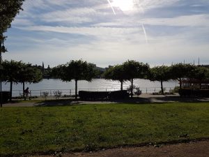 Beueler Rheinufer im grellen Sonnelicht