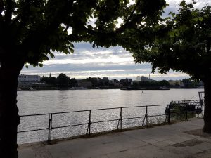 Blick vom Beueler Ufer über den Rhein nach Bonn
