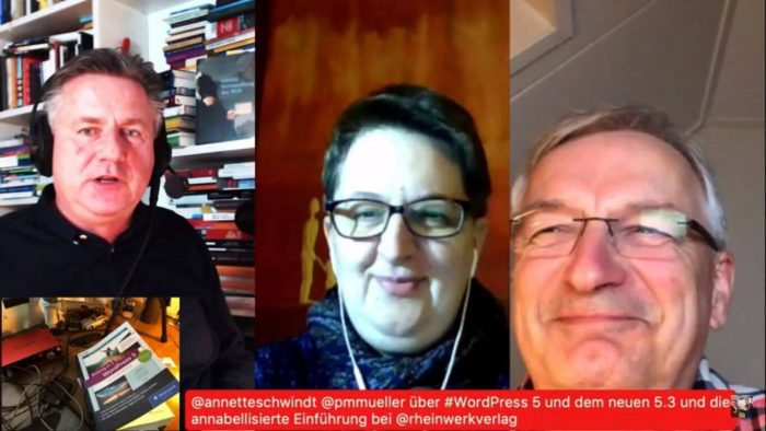 Screenshot Videomitschnitt des Live-Talk zu WordPress 5