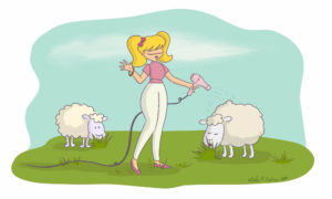 Blondine föhnt Schafe auf der Weide