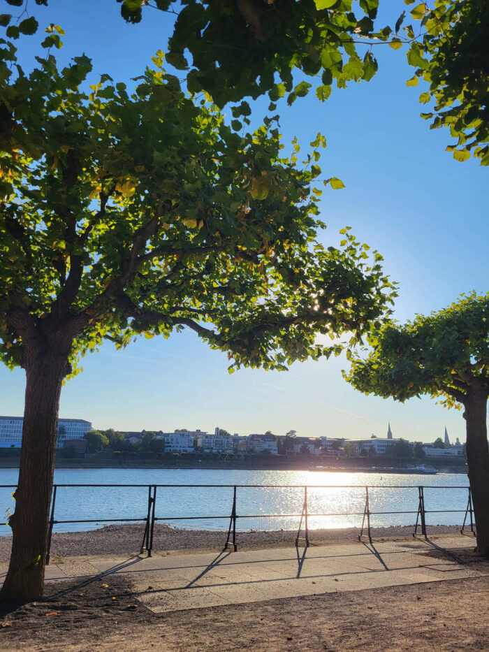 Sonne knallt auf den Rhein, aus dem Schatten der Bäume fotografiert