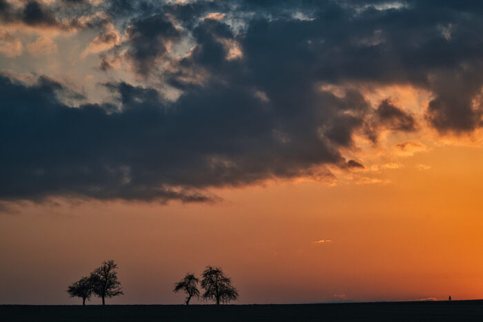 Dramatische dunkle Wolken vor orangefarbenem Himmel mit Baumsilhouetten im Hintergrund