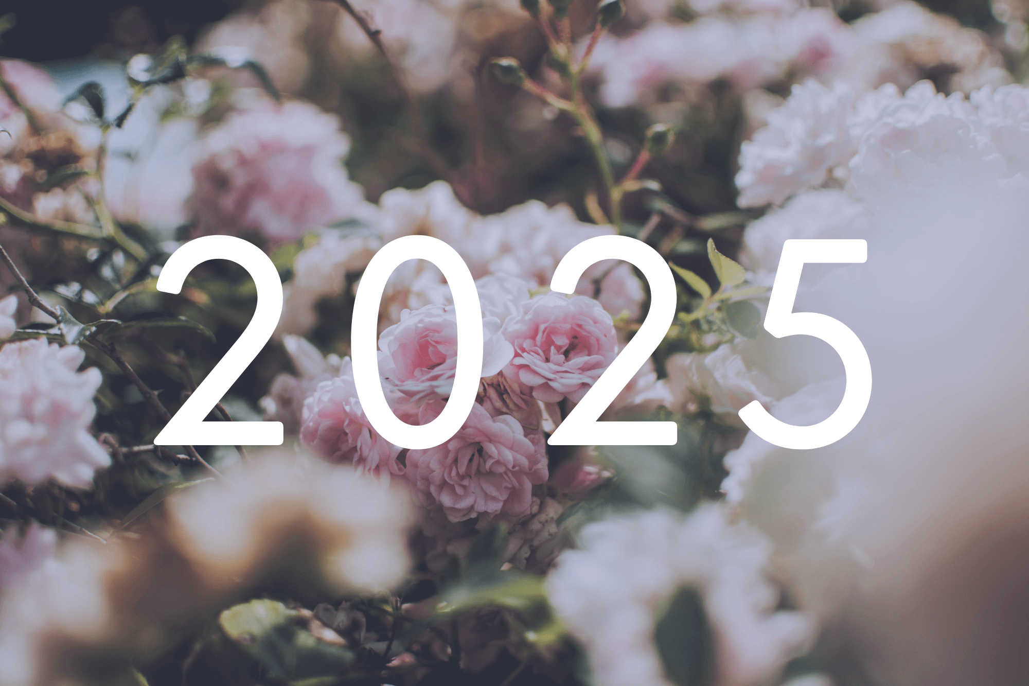 Die Zahl 2025 mit Blumenhintergrund