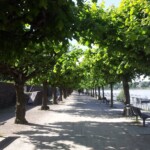 Spaziergang am Rhein in Bonn-Beuel Rheinpromenade Bonn-Beuel