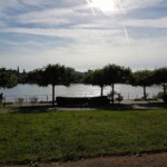 Beueler Rheinufer im grellen Sonnelicht